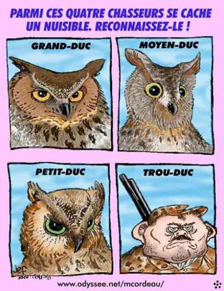 Les ducs