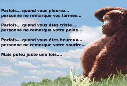Parfois, parfois ...