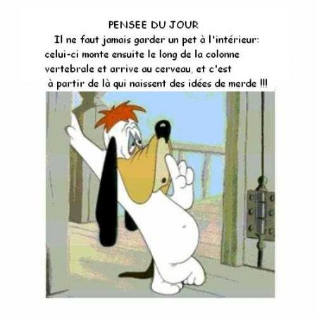 Pensée du jour