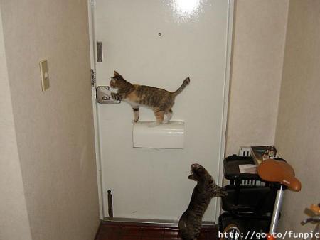 Bon allez, on se tire !!