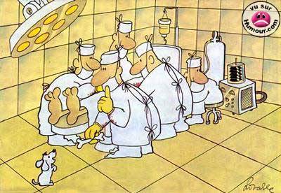 Chirurgie ...................... pour chiens !!!!!!!!